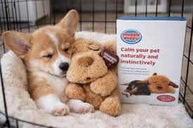 Doggy Stuffy Buddy